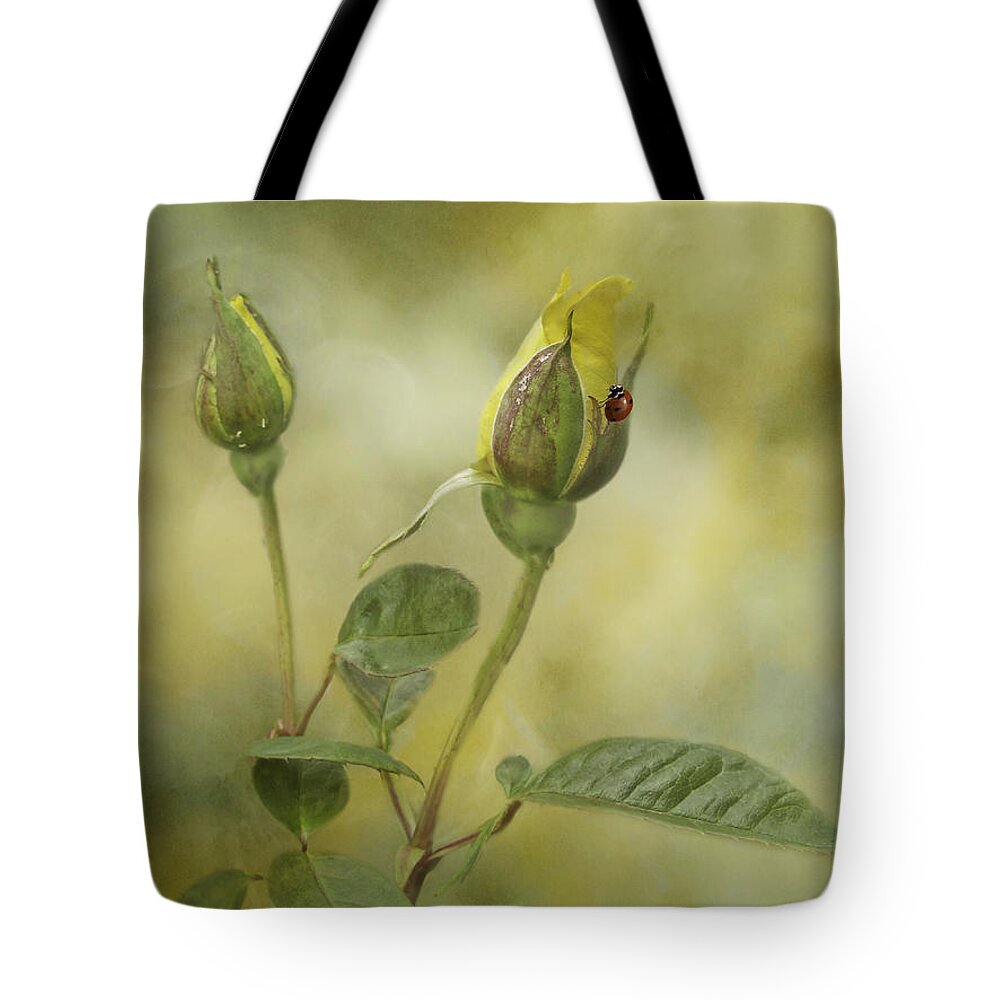 Roses Tote Bag featuring the photograph A Touch Of Class by Diane Schuster