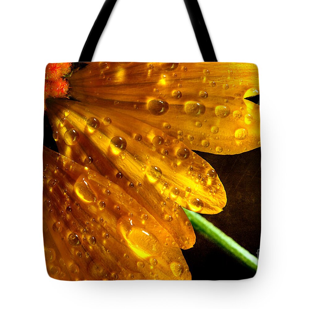 Yellow Daisy Tote Bag featuring the photograph A Touch Of Daisy by Michael Eingle