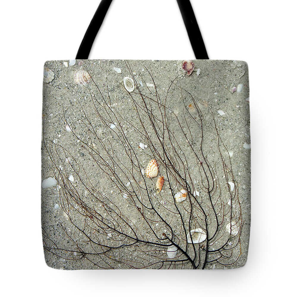 Beach Tote Bag featuring the photograph A Tree on the Beach - Sea Weed and Shells by Mitch Spence