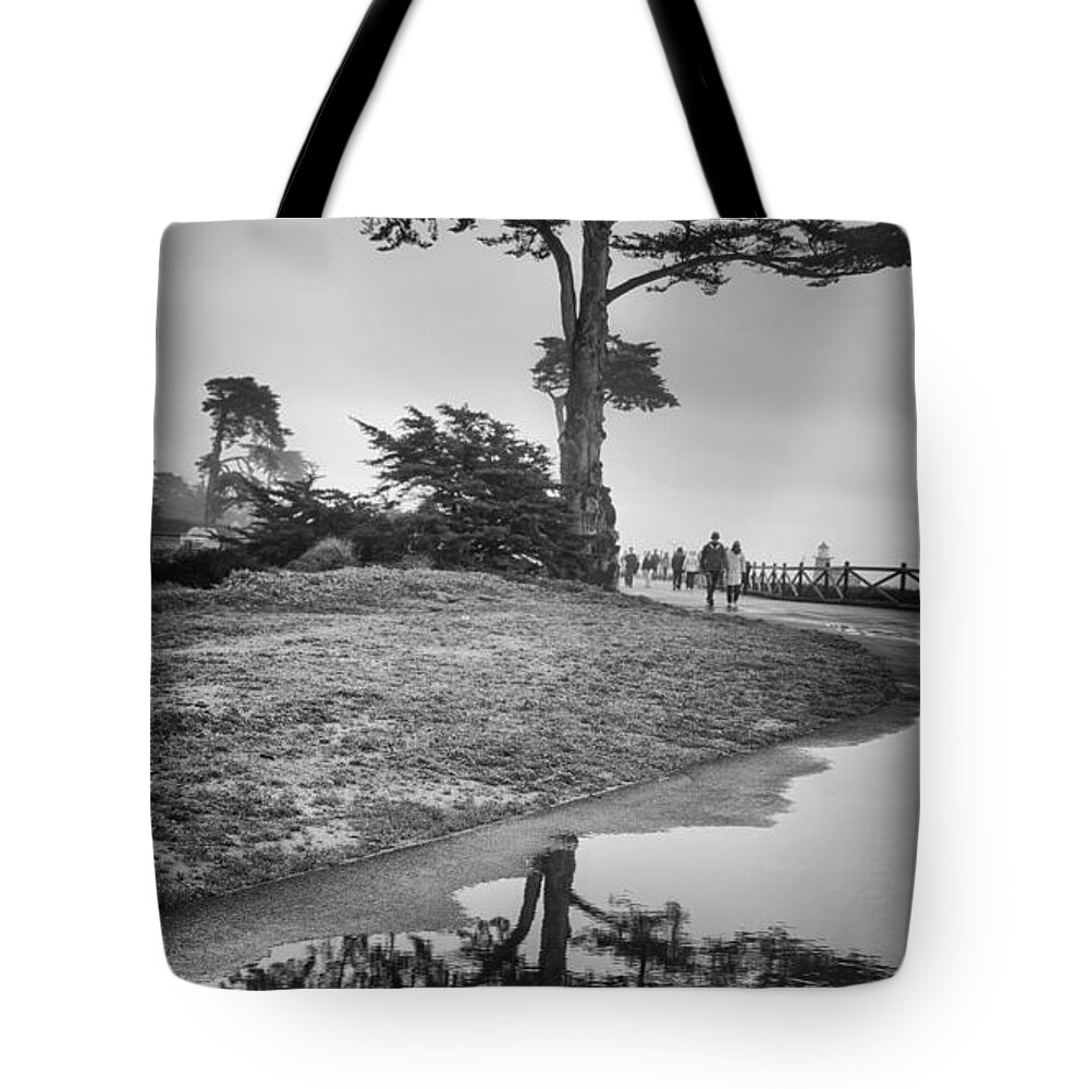 Tree Tote Bag featuring the photograph A Tree stands tall by Lora Lee Chapman