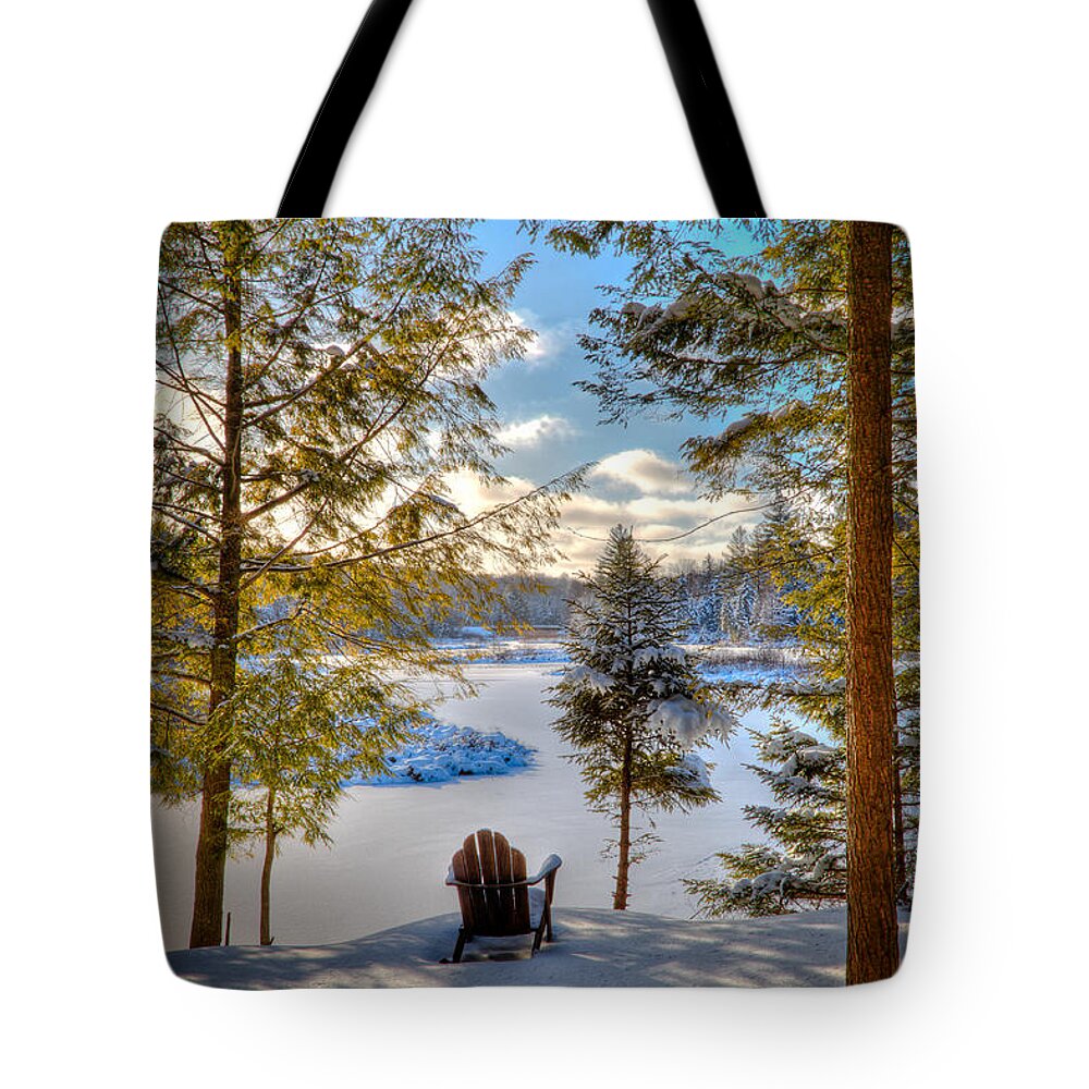 A View Of The Moose Tote Bag featuring the photograph A View of the Moose by David Patterson