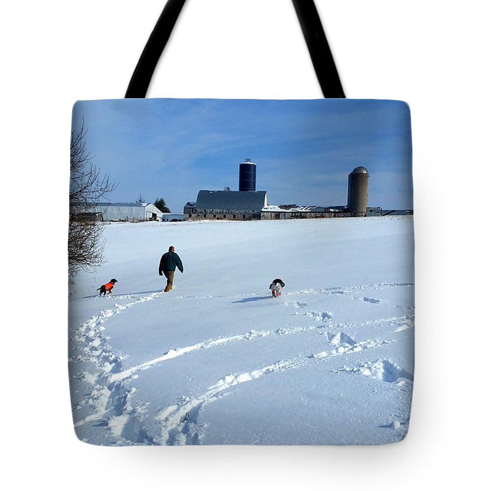 Walk Tote Bag featuring the photograph A Walk behind the Farm by Brook Burling