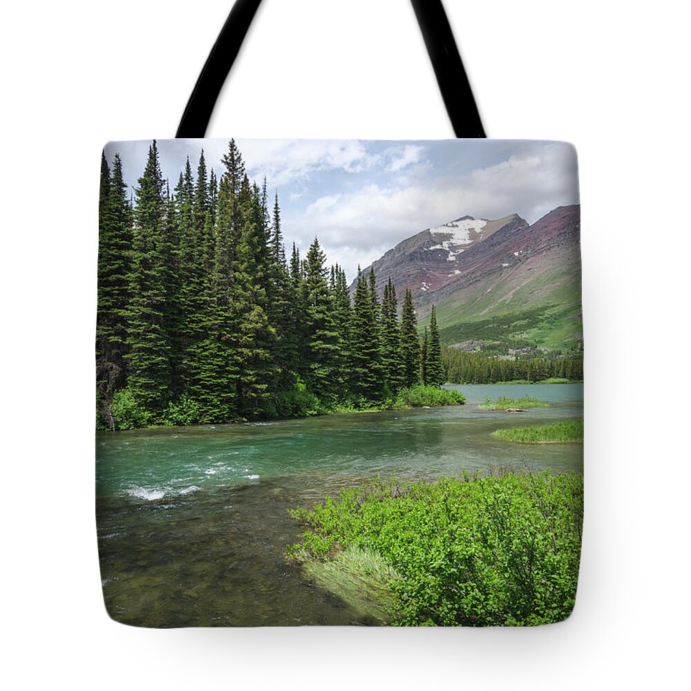 Glacier Tote Bag featuring the photograph A Walk in the Forest by Margaret Pitcher