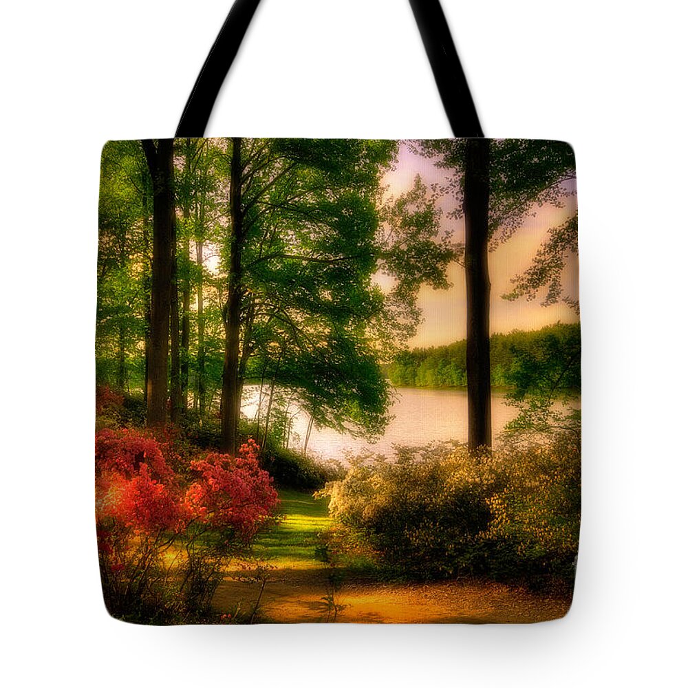 Azalea Tote Bag featuring the photograph A Walk In The Park by Lois Bryan