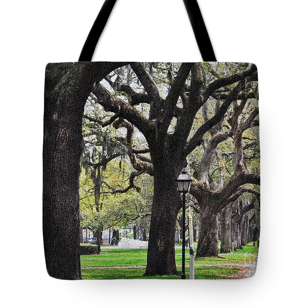 Park Tote Bag featuring the photograph A Walk In The Park by Lydia Holly