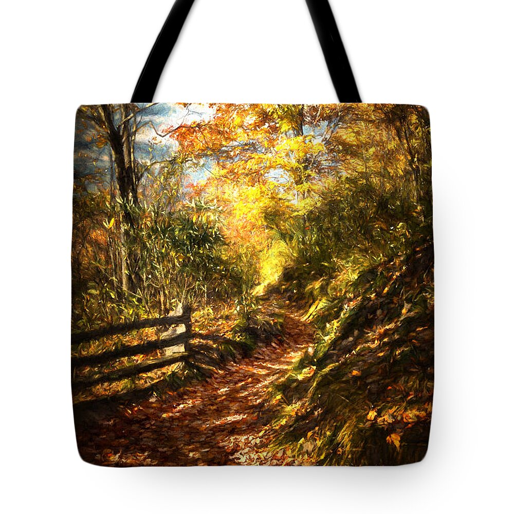 Fall Tote Bag featuring the digital art The Lighted Path by John Haldane