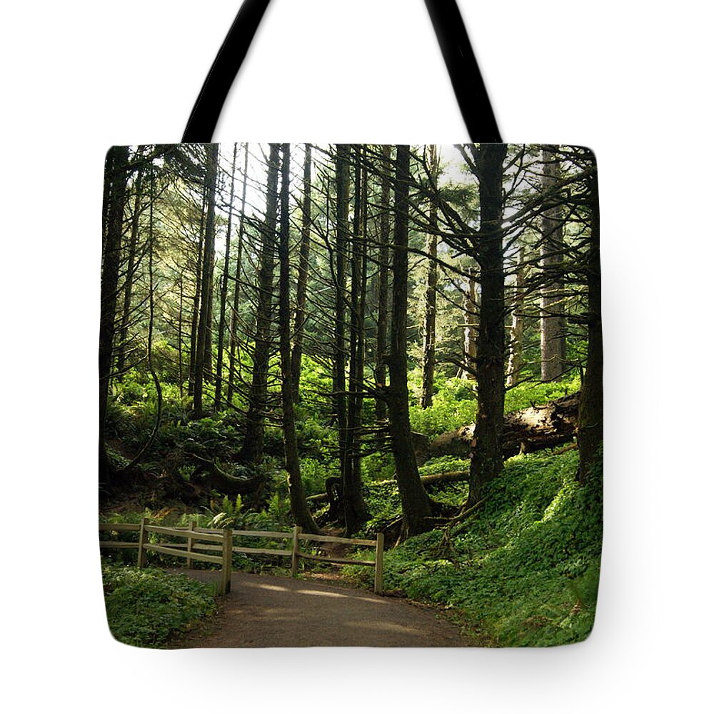 Woods Tote Bag featuring the photograph A Walk Through the Woods by Beth Collins