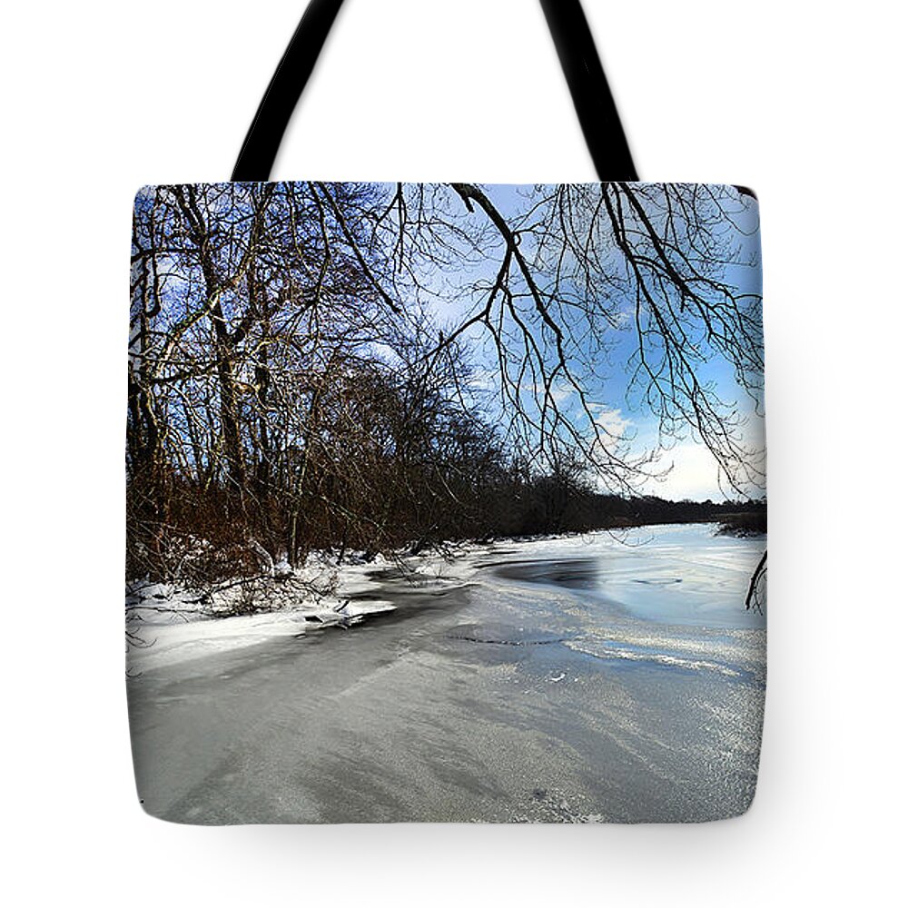Winter Tote Bag featuring the photograph A Winters Day by Diane Giurco
