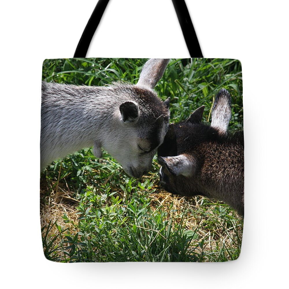 Humor Tote Bag featuring the photograph A Wisdom of the Head? by Vadim Levin