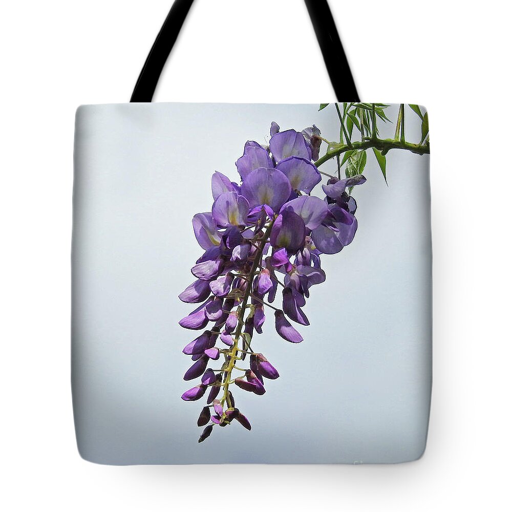 Vine Tote Bag featuring the photograph A Wisp of Wisteria by Jan Gelders
