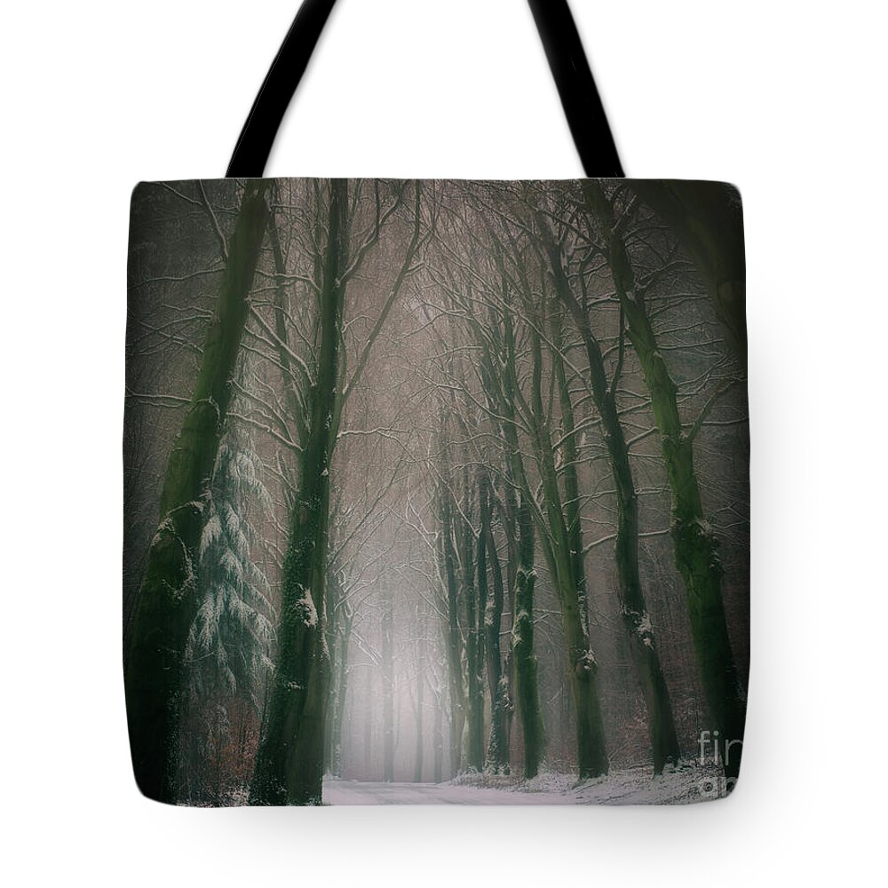 Winter Tote Bag featuring the photograph A Woodland Fantasy by David Lichtneker