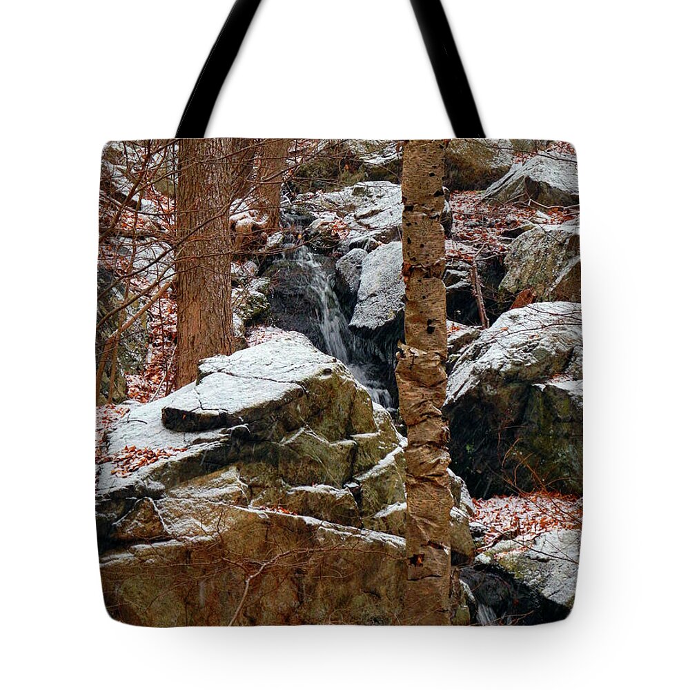 A Wood's Waterfall Tote Bag featuring the photograph A Wood's Waterfall by Raymond Salani III
