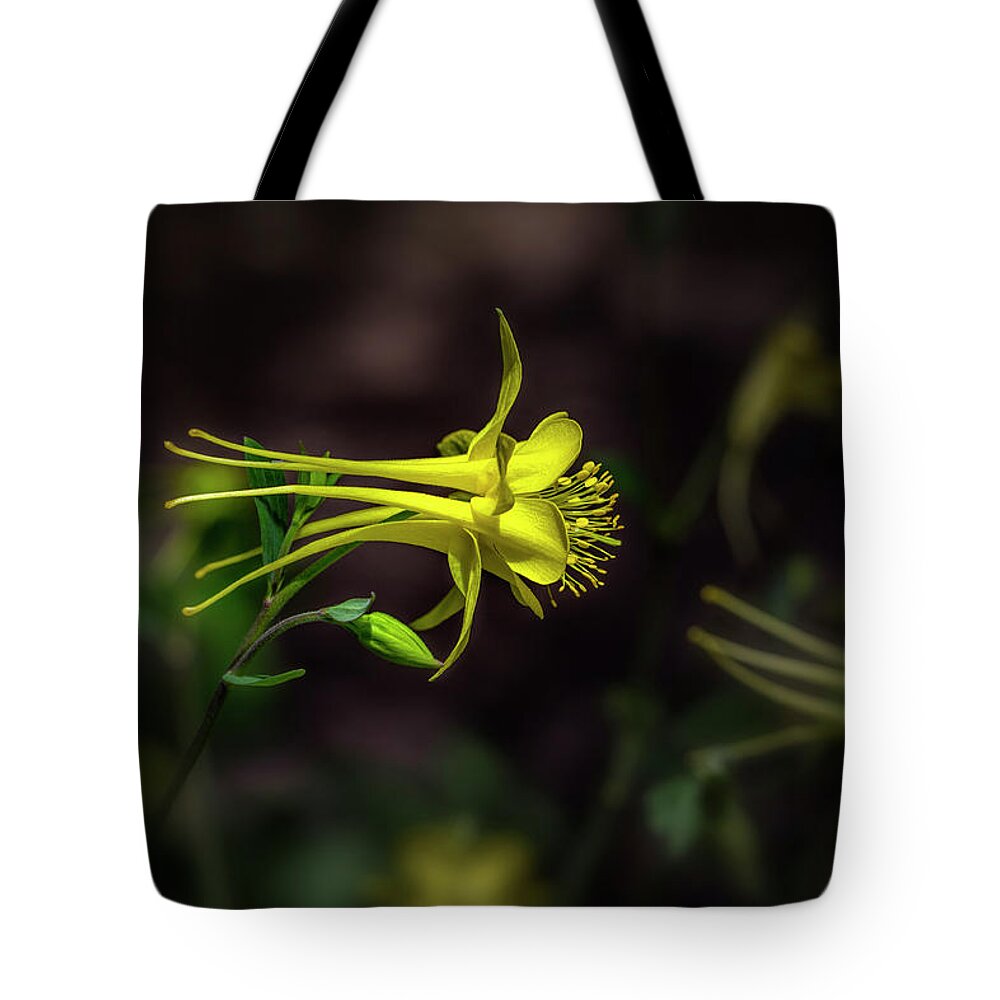 Flower Tote Bag featuring the photograph A Yellow Columbine by Michael McKenney