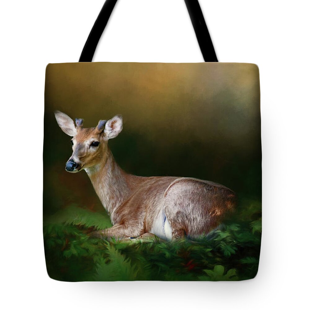 Animal Tote Bag featuring the photograph A Young Buck by Lana Trussell