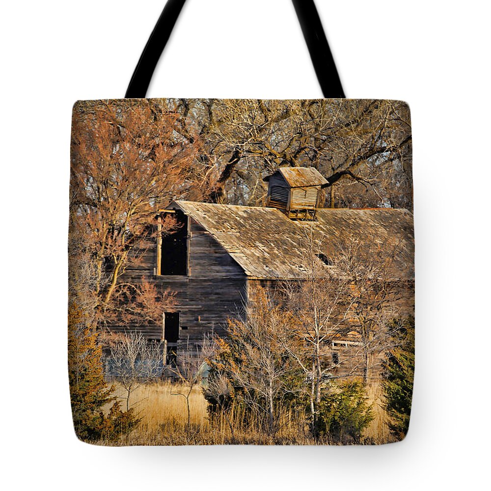 Barn Tote Bag featuring the photograph Abandoned and Forgotten by Elizabeth Winter