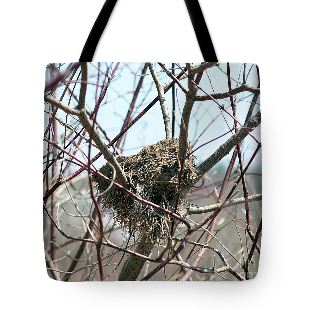 Animal Tote Bag featuring the photograph Abandoned Bird Nest by Smilin Eyes Treasures