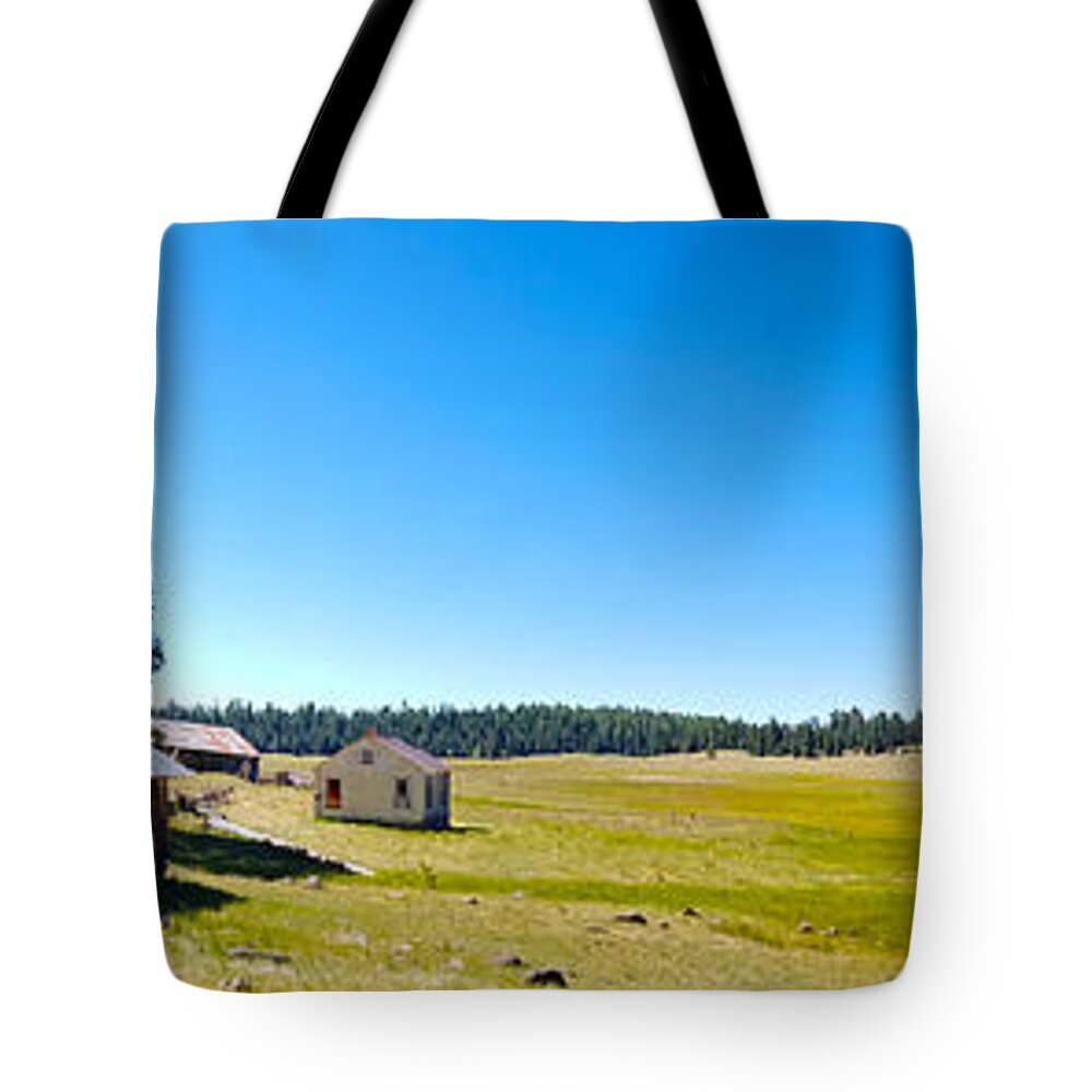 Arizona Tote Bag featuring the photograph Abandoned in Meadow by Richard Gehlbach