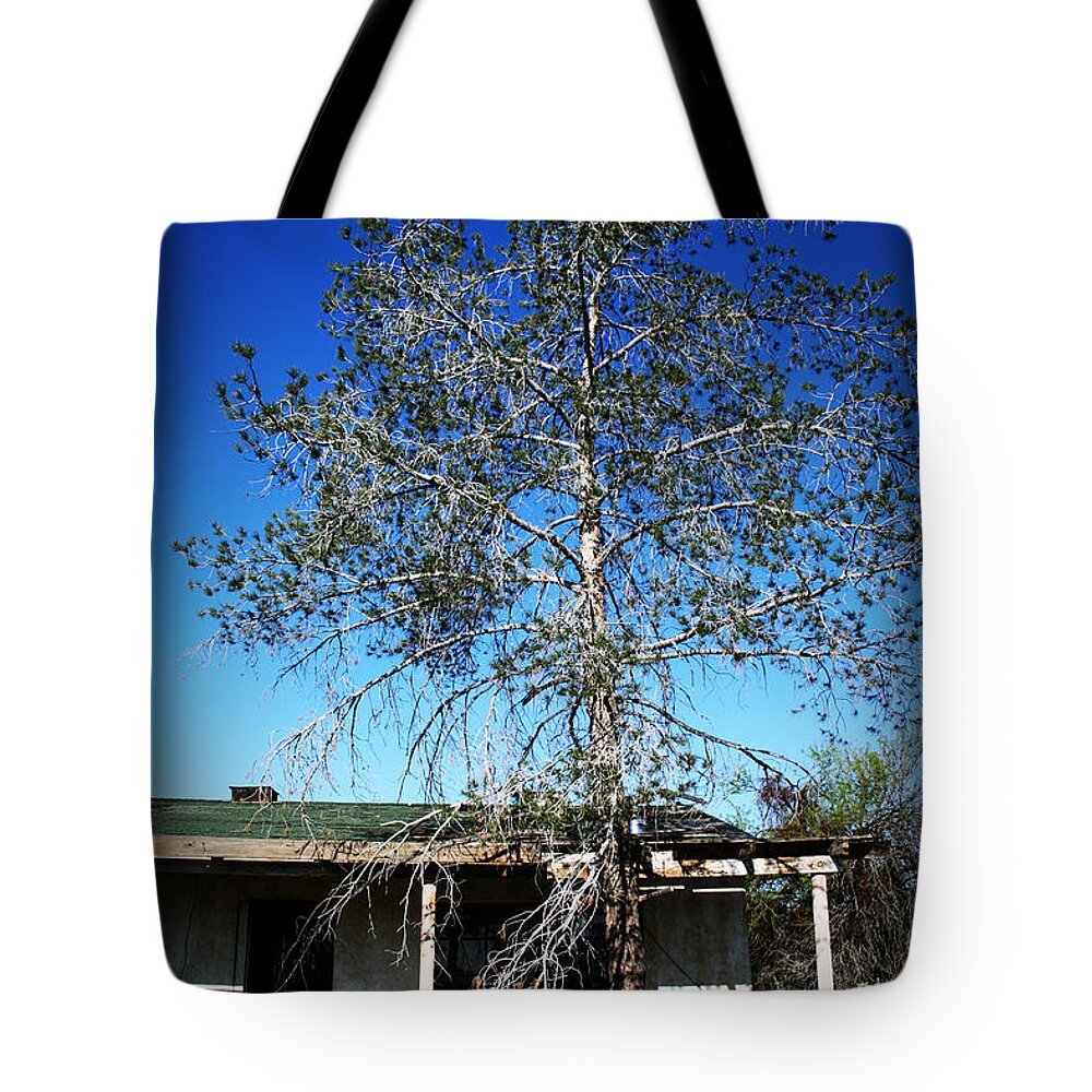 Old Tote Bag featuring the photograph Abandonment by Charles Benavidez