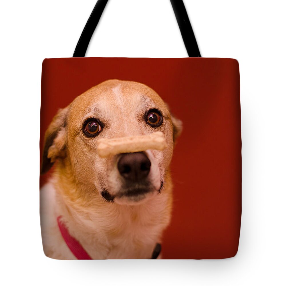 Pet Angel Photography Tote Bag featuring the photograph Abbie and a bone by Irina ArchAngelSkaya