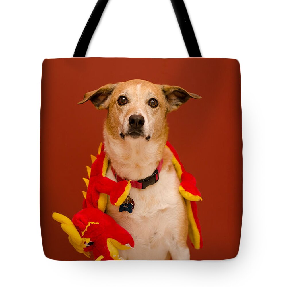 Pet Angel Photography Tote Bag featuring the photograph Abbie and a Dragon by Irina ArchAngelSkaya