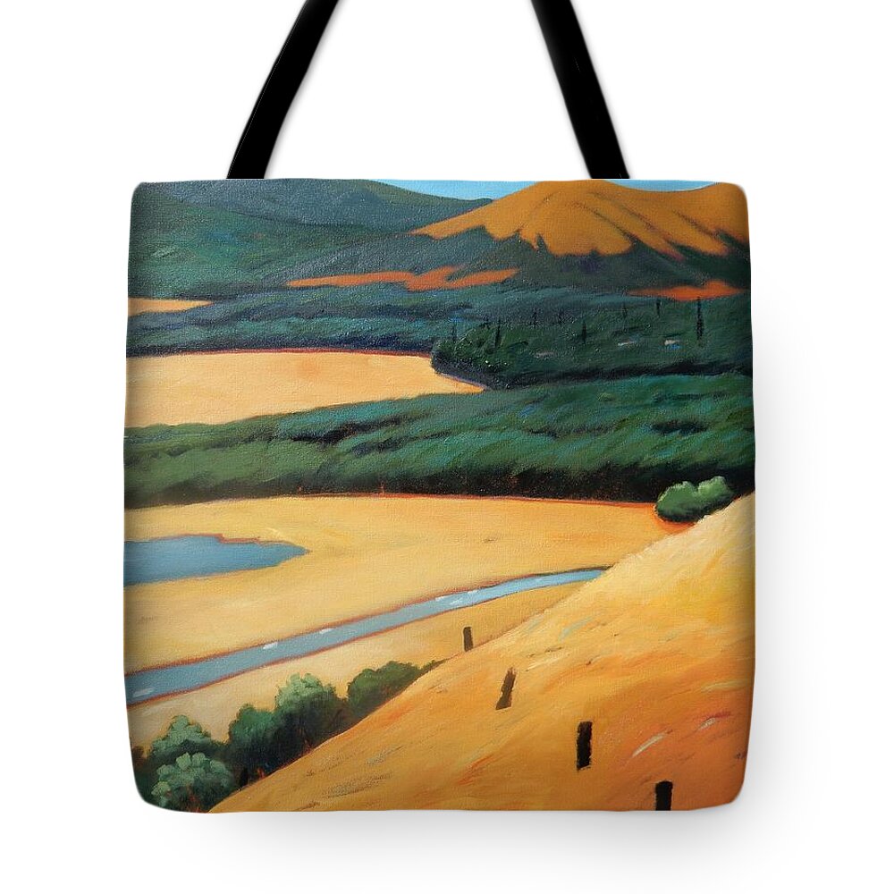 Highway Tote Bag featuring the painting Above the Highway by Gary Coleman