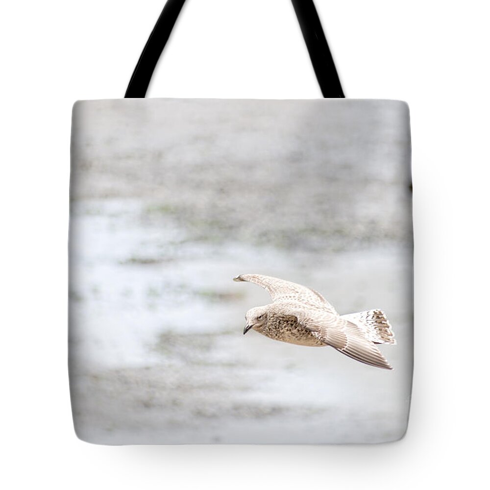 Europe Tote Bag featuring the photograph Above the Watten Sea 2 by Hannes Cmarits