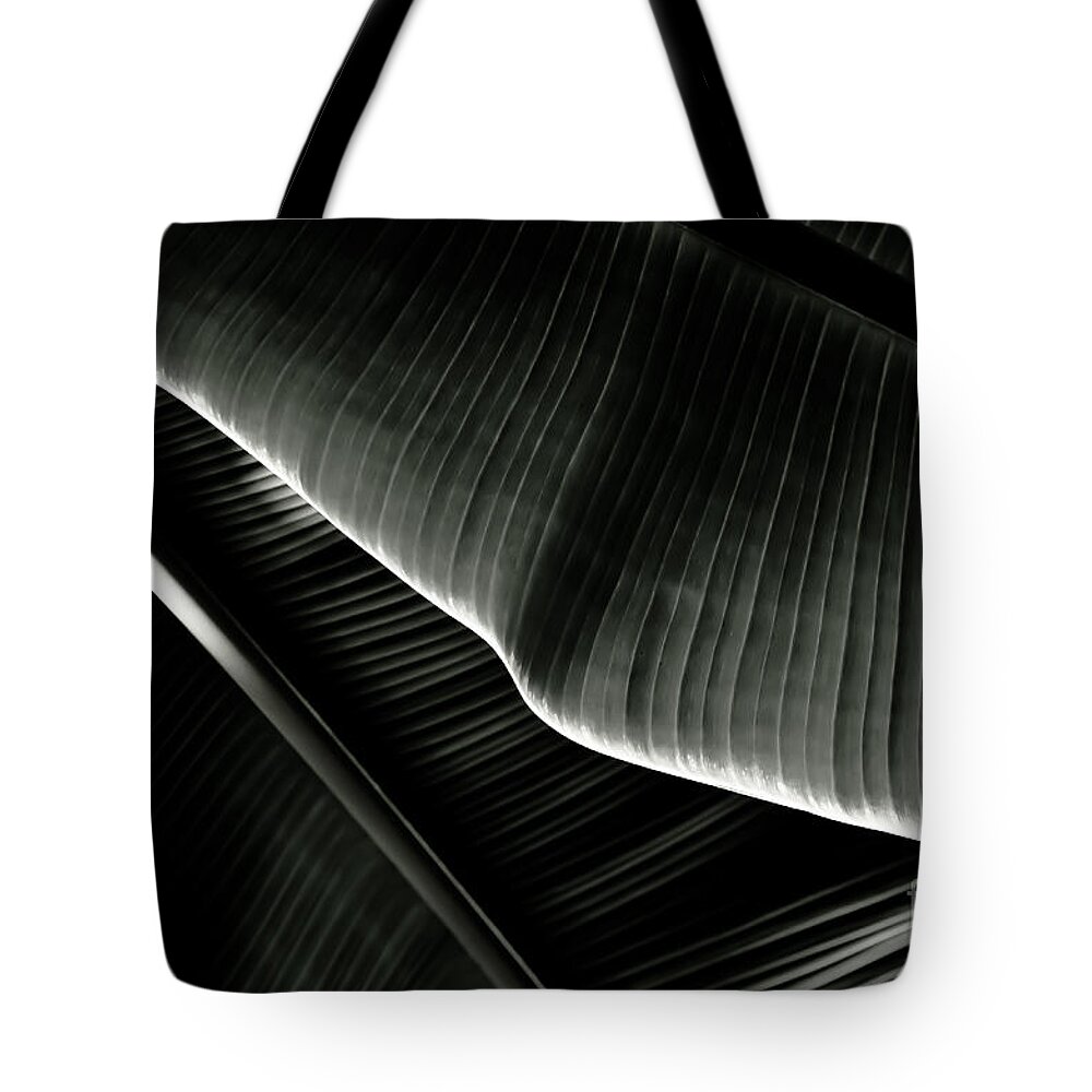 Banana Tote Bag featuring the photograph Abstract banana Leaf by Yurix Sardinelly
