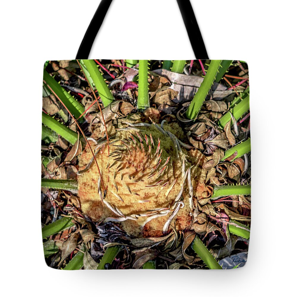 2096 Tote Bag featuring the photograph Abstract Nature Tropical Fern 2096 by Ricardos Creations