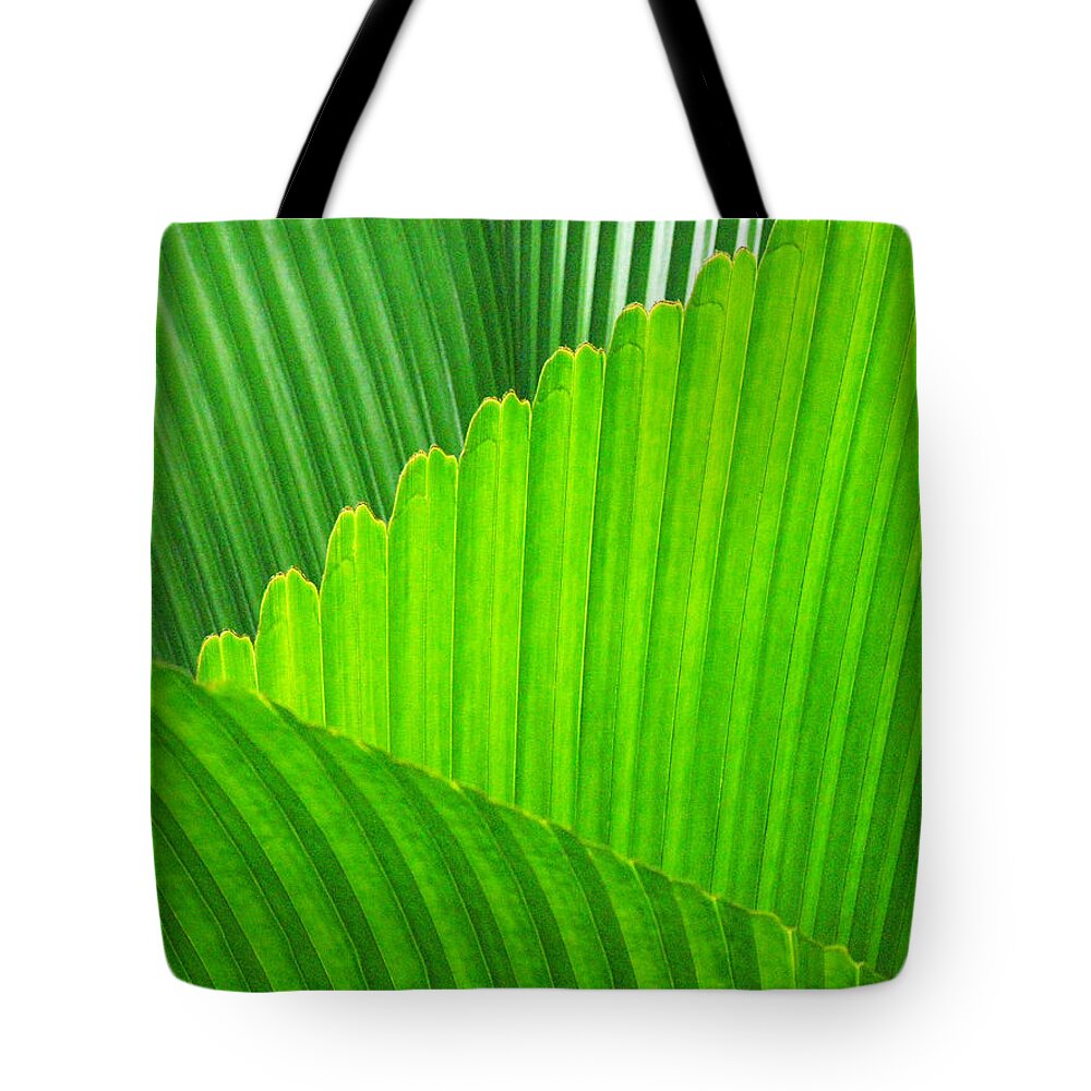 Palm Leaves Tote Bag featuring the photograph Abstract Palm Leaves by David Clode
