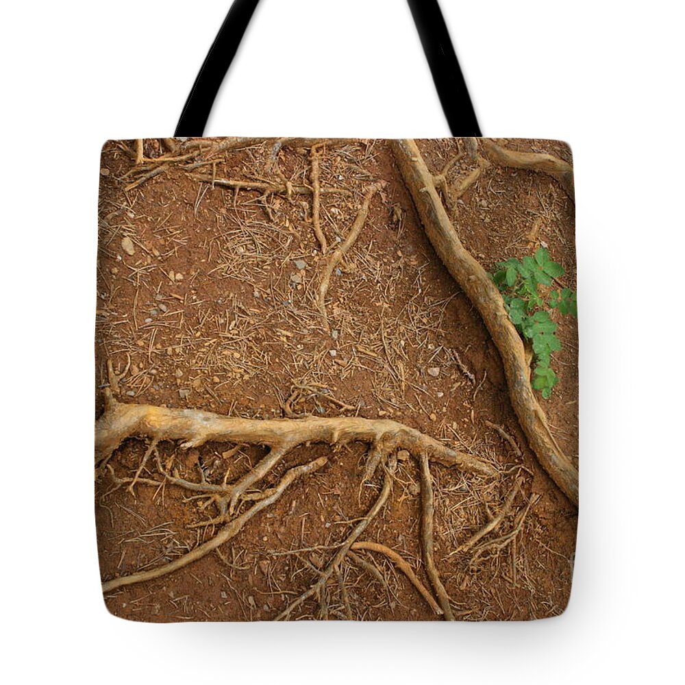 Roots Tote Bag featuring the photograph Abstract Roots by Mary Mikawoz