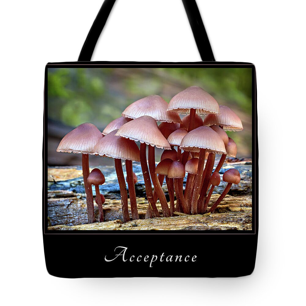 Inspiration Tote Bag featuring the photograph Acceptance 4 by Mary Jo Allen