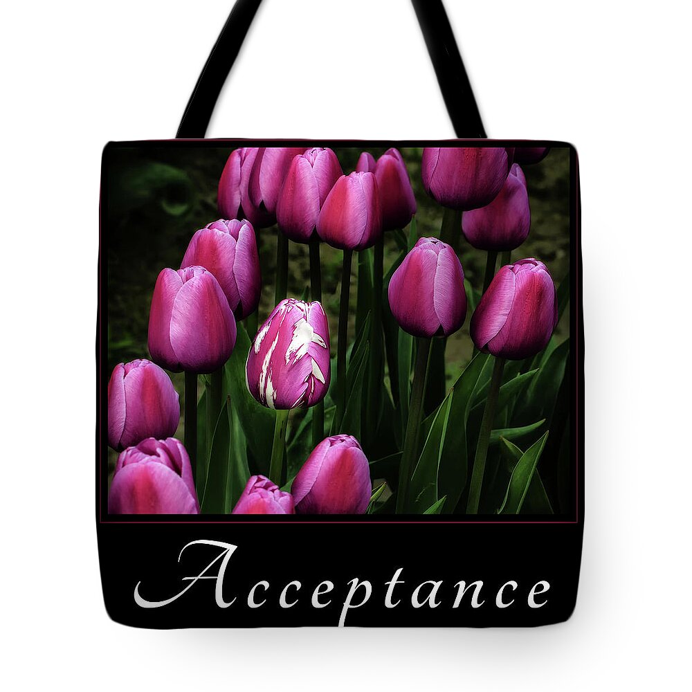 Good Samaratan Society Tote Bag featuring the photograph Acceptance by Mary Jo Allen