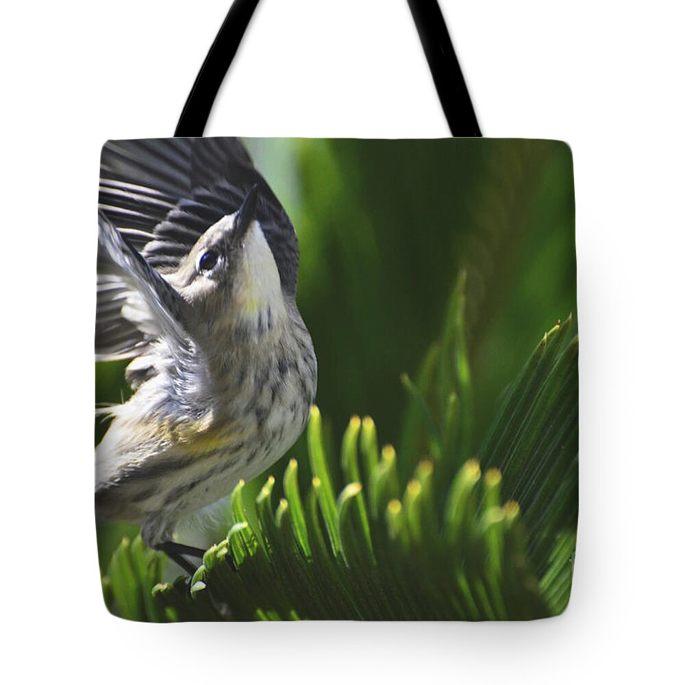 Meticulous Tote Bag featuring the photograph Accomplishment by Debby Pueschel
