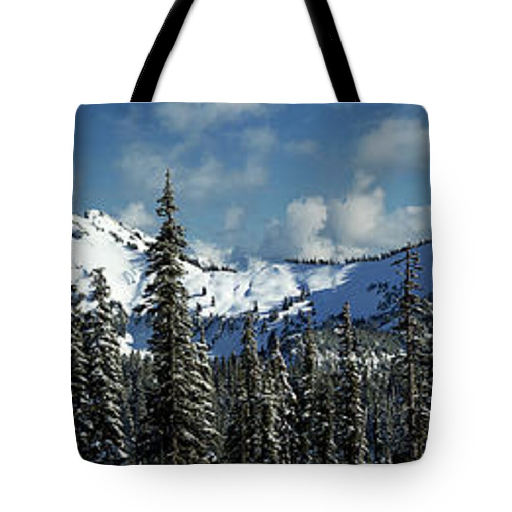 Mt Rainier Tote Bag featuring the photograph Across From Mt Rainier by Mary Jo Allen