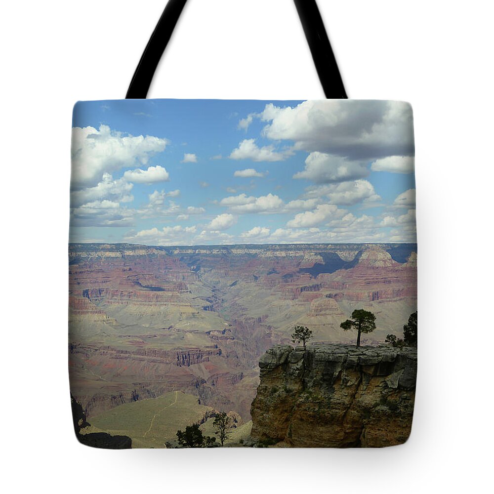 Beautiful Tote Bag featuring the photograph Across the Canyon by Gordon Beck