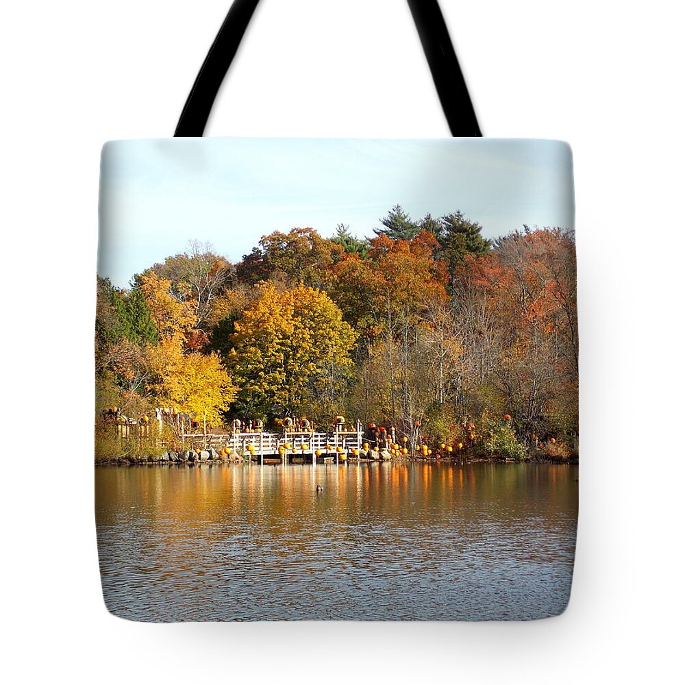 Roger Williams Park Tote Bag featuring the photograph Across the Pond by Catherine Gagne