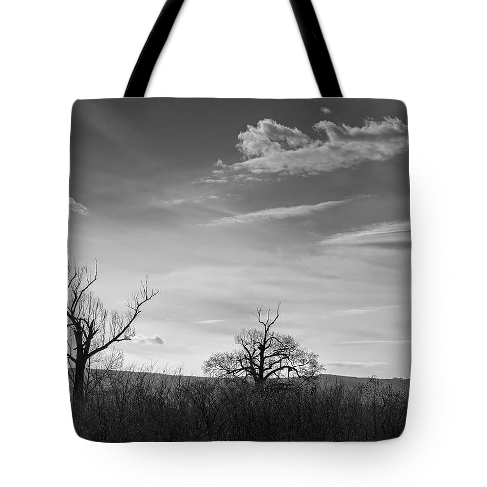 Countryside Tote Bag featuring the photograph Across The River by Paul Chong