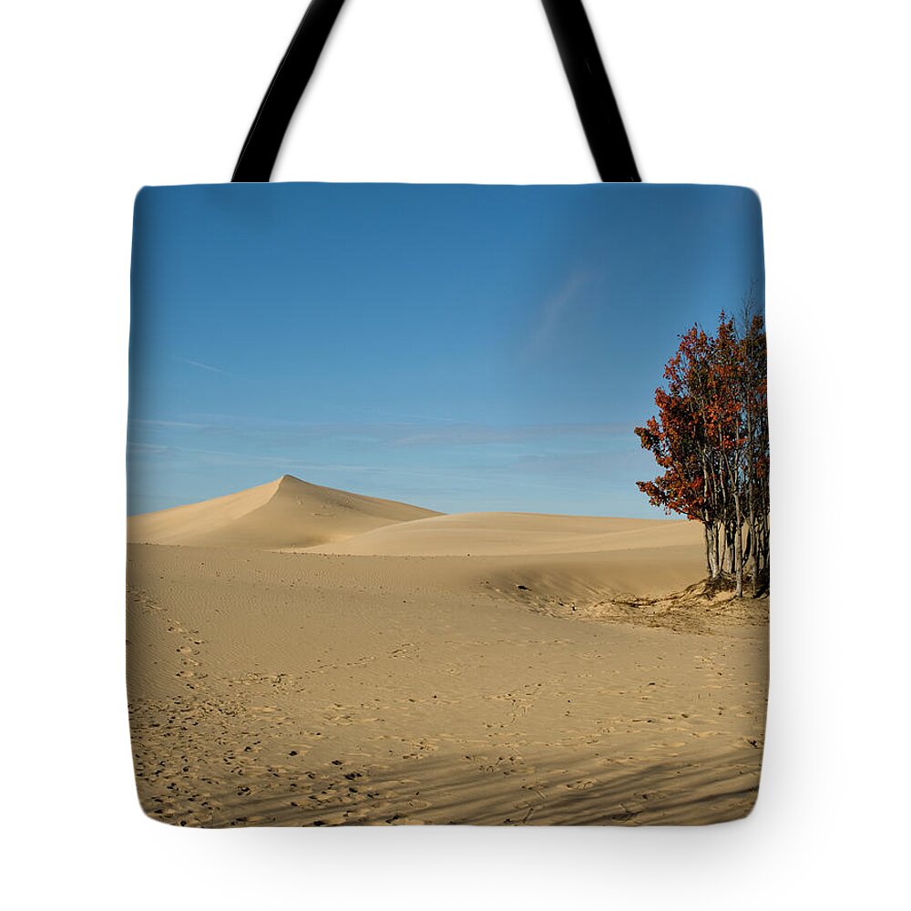 Sand Tote Bag featuring the photograph Across the Sand 2 by Tara Lynn