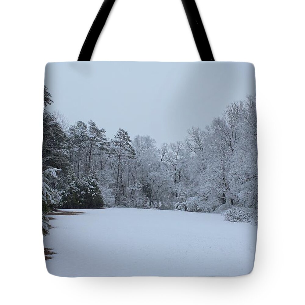 Trees Tote Bag featuring the photograph Across the Yard by Ali Baucom