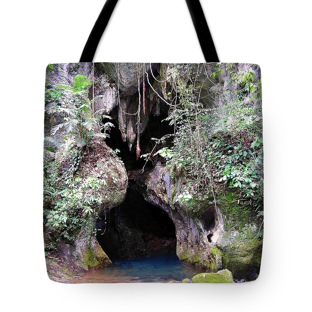 Cave Tote Bag featuring the photograph Actun Tunichil Muknal Entrance by Li Newton