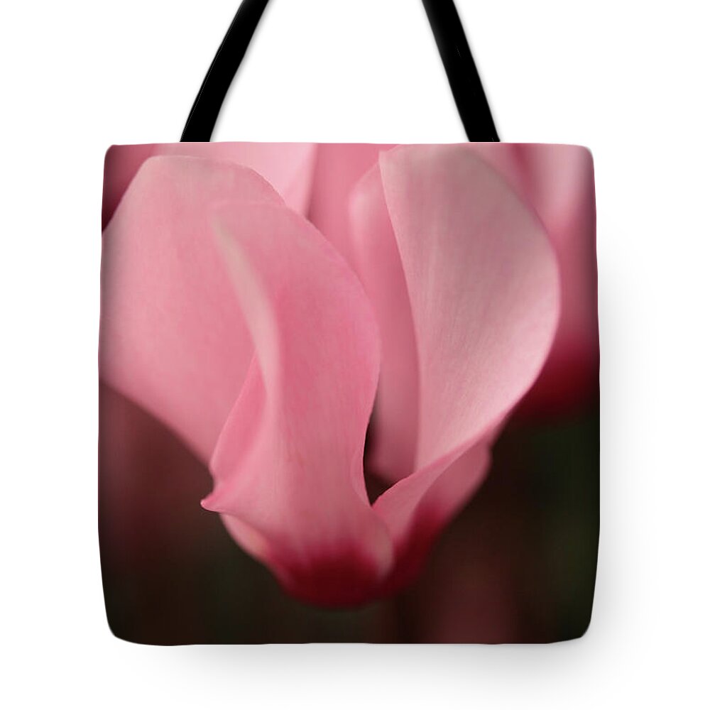 Connie Handscomb Tote Bag featuring the photograph Adrift by Connie Handscomb
