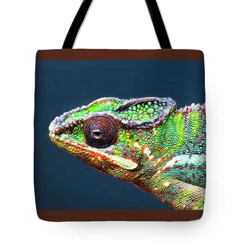 African Chameleon Tote Bag featuring the photograph African Chameleon by Richard Goldman