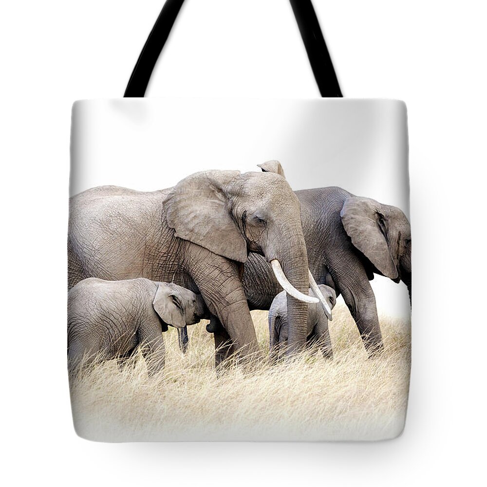 Elephant Tote Bag featuring the photograph African elephant group isolated by Jane Rix