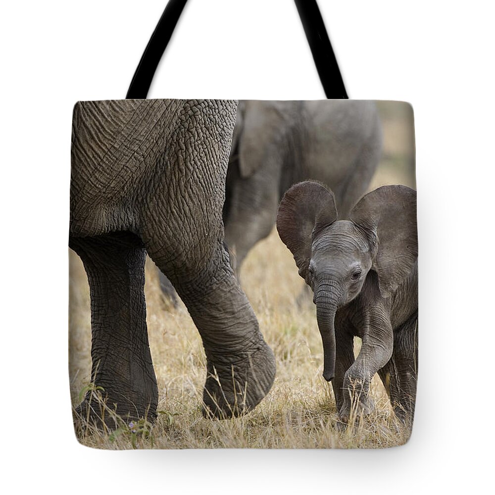 00784043 Tote Bag featuring the photograph African Elephant Mother And Under 3 by Suzi Eszterhas