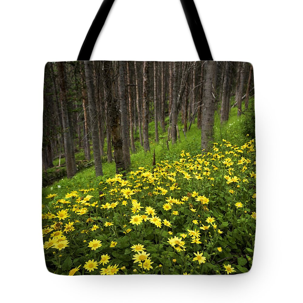 After Tote Bag featuring the photograph After by Chad Dutson