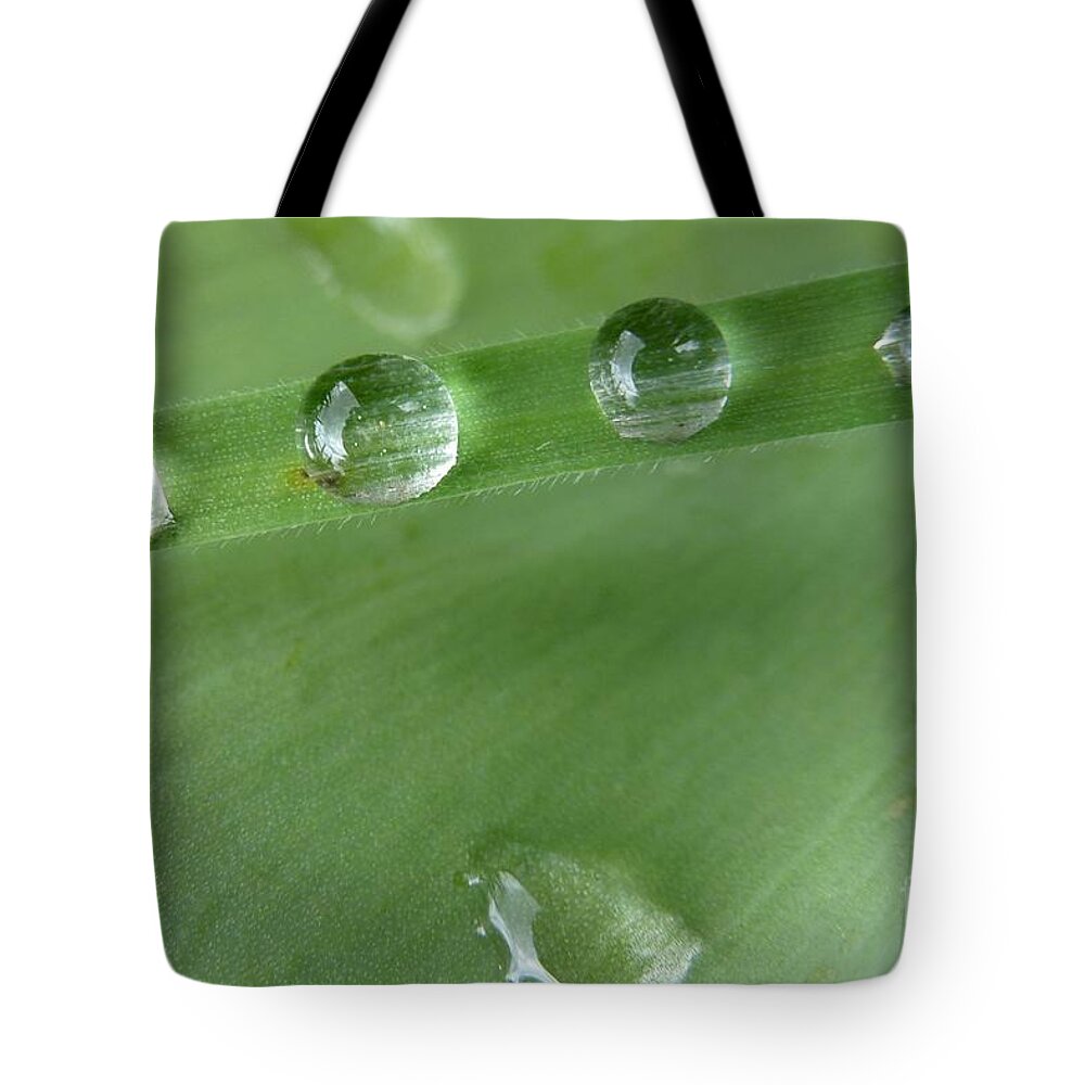 After The Rain Tote Bag featuring the photograph After the rain by Jean Bernard Roussilhe
