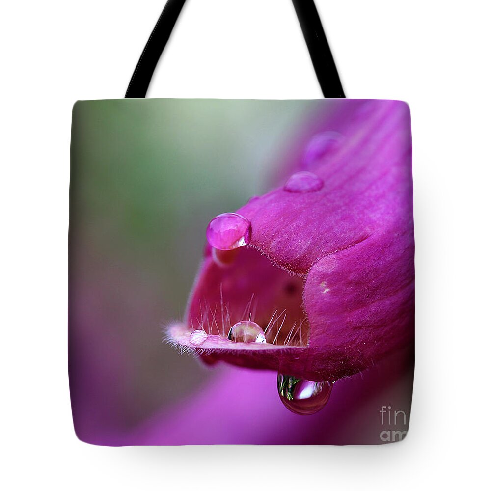 Foxglove Tote Bag featuring the photograph After the Rain by Judi Bagwell