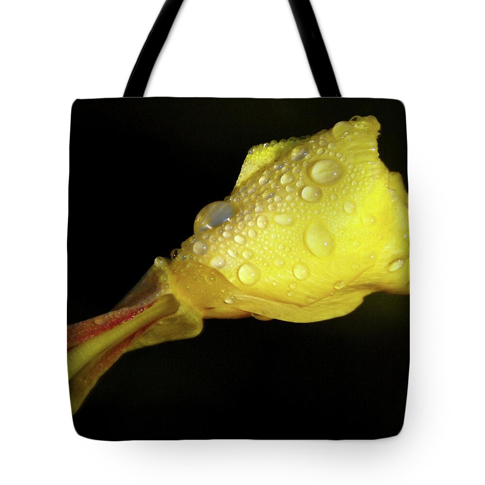 Wildflower Tote Bag featuring the photograph After The Rain by Linda Shafer