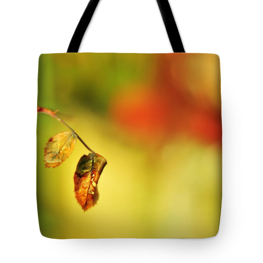 Rain Tote Bag featuring the photograph After the Shower by Rebecca Sherman
