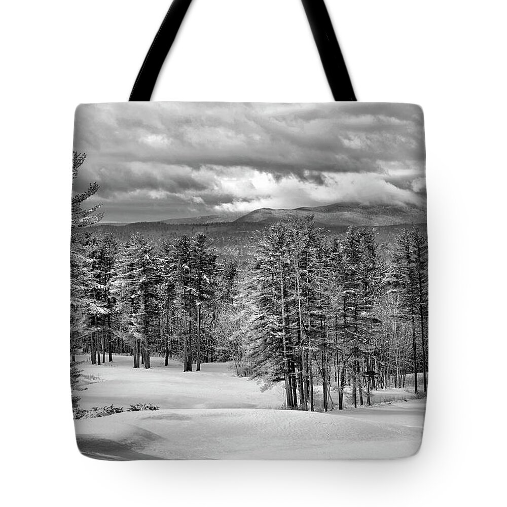 Winter Tote Bag featuring the photograph After The Snow by Betty Pauwels
